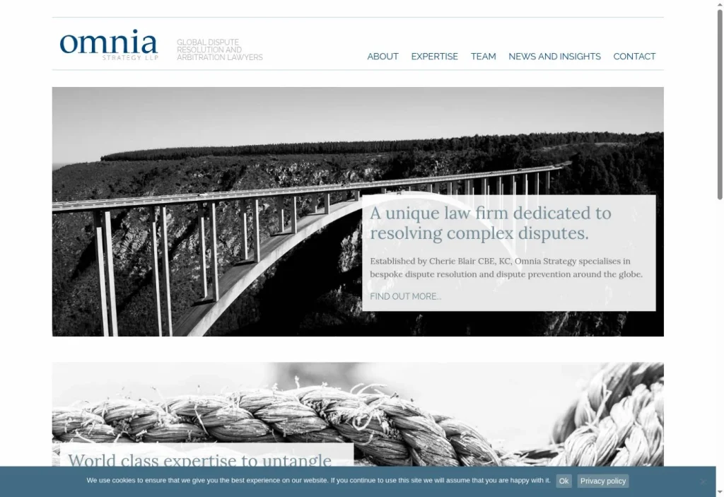 Omnia Strategy homepage preview